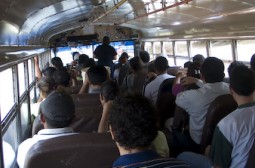 die gnstigste Reisemglichkeit um in den Stdten zu reisen sind.